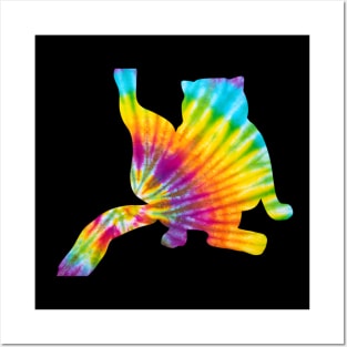 Tie Dye Cat Retro Pattern Posters and Art